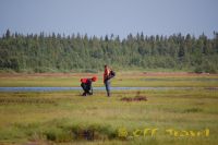 kol2012DSC_0417.jpg
