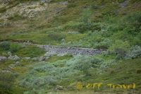 kol2012DSC_0381.jpg