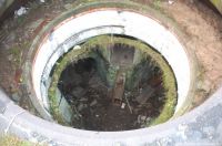 50802_900.jpg