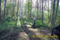 shDSC_0114.jpg