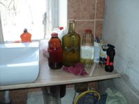 DSC07203.JPG