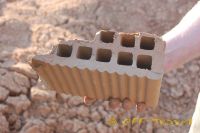 vaDSC_0205.jpg